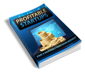The Profitable Startups