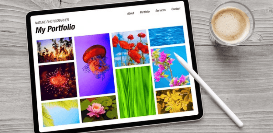 digital marketing portfolio